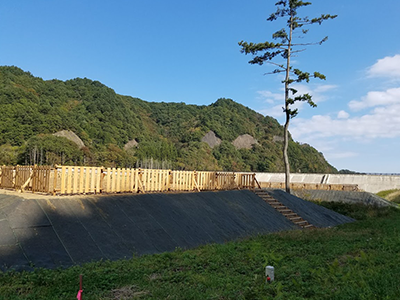 丸太防風工（岩手県）